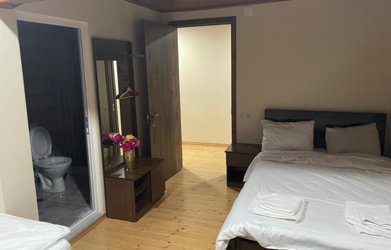 Hotel Mtskheta Wellpoint Arsukidze 48 Extérieur photo
