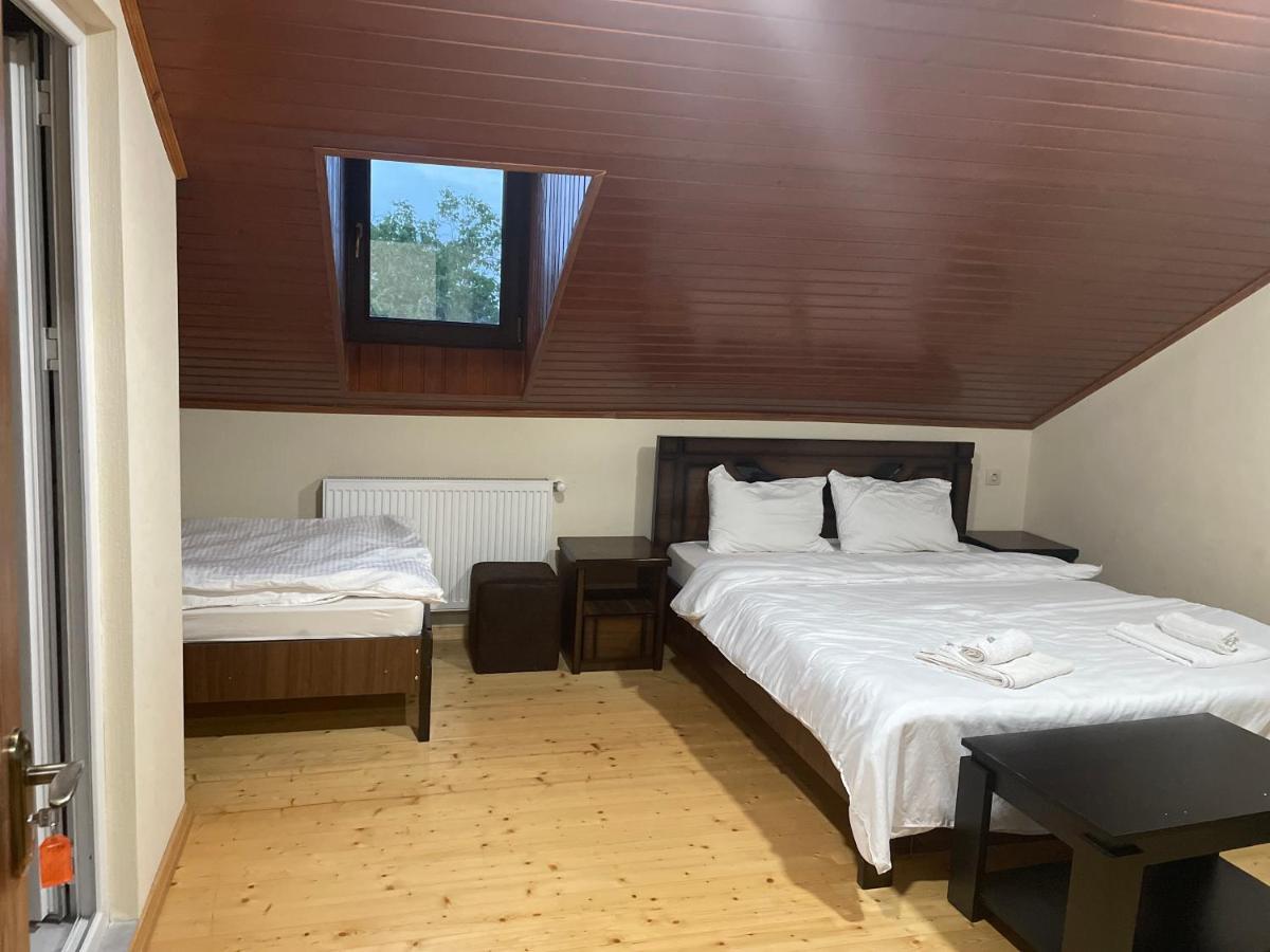 Hotel Mtskheta Wellpoint Arsukidze 48 Extérieur photo