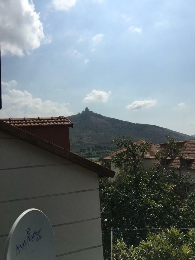 Hotel Mtskheta Wellpoint Arsukidze 48 Extérieur photo