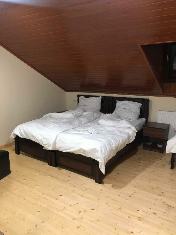 Hotel Mtskheta Wellpoint Arsukidze 48 Extérieur photo